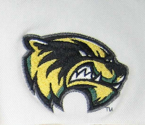 High Quality Embroidery Digitizing with a wild animal: leopard sewn on Tajima using Pulse PXF